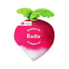 Graines de radis à semer