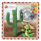 Enveloppe Graines de Cactus