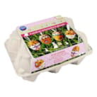 Boîte à oeufs à décorer