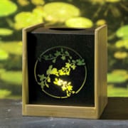 Puis� au coeur de la nature, cette farandole de fleurs de jasmin invite au 
