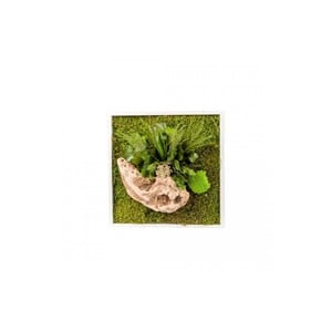 Tableau végétal gamme nature, carré 35