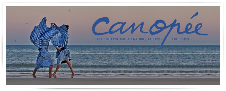 Canopée