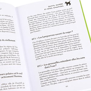 Pourquoi les vaches ne peuvent-elles pas