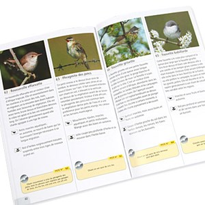 Reconnaître les chants d'oiseaux