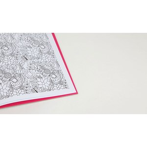 100 Coloriages anti-stress