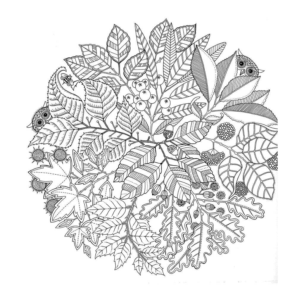 Jardin Secret Carnet De Coloriage Nature Decouvertes
