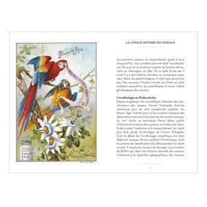 Le petit livre des oiseaux