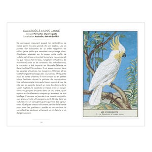 Le petit livre des oiseaux