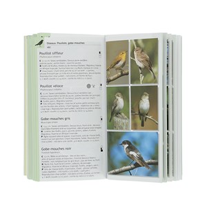 Guide de la faune et de la flore