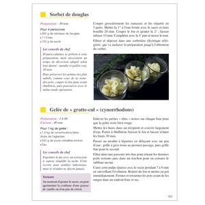 Plantes comestibles