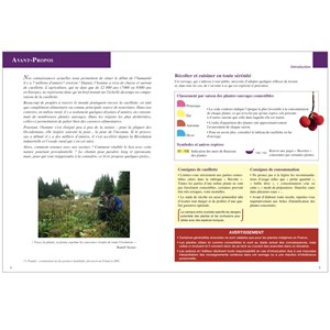 Plantes comestibles