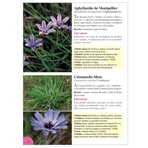 Plantes comestibles