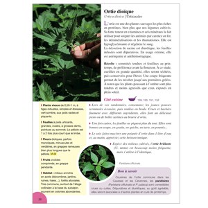 Plantes comestibles