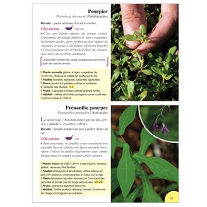 Plantes comestibles