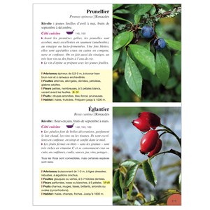 Plantes comestibles