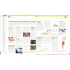 Le Grand Guide visuel du corps humain