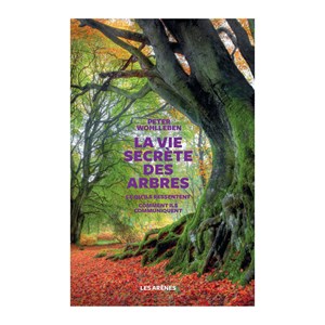 La vie secrète des arbres