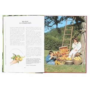 Pratiquer la biodynamie au jardin