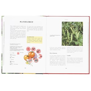 Pratiquer la biodynamie au jardin