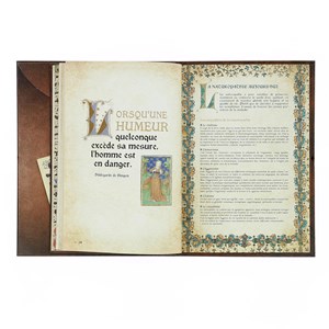 Secrets & remèdes d'Hildegarde de Bingen