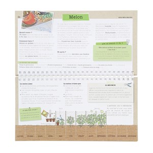 Je sème mes légumes et ça marche