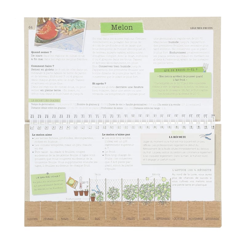 Je sème mes légumes et ça marche (Éditions Larousse) - Image 2
