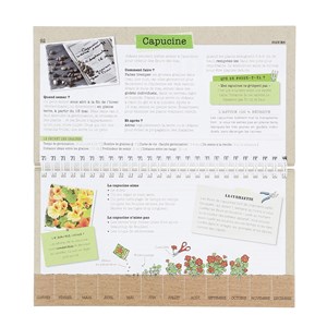 Je sème mes légumes et ça marche