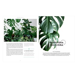 Urban Jungle
