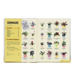 Arrêtez d'assassiner vos plantes