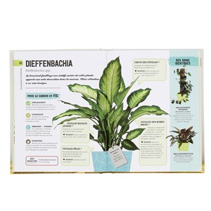 Arrêtez d'assassiner vos plantes