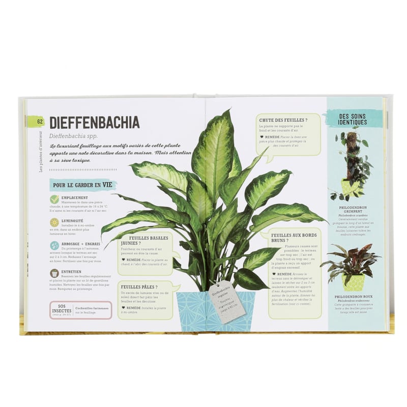 Arrêtez d'assassiner vos plantes (Éditions Larousse) - Image 3