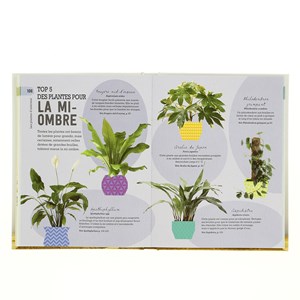 Arrêtez d'assassiner vos plantes