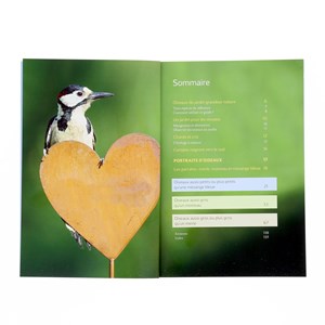 Reconnaître les oiseaux du jardin