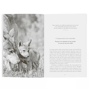 La sagesse des loups