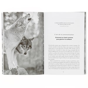 La sagesse des loups