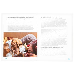 Ce que sait votre chien