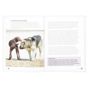 Ce que sait votre chien