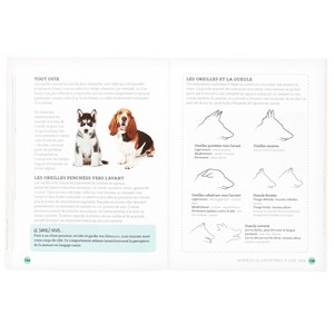 Ce que sait votre chien