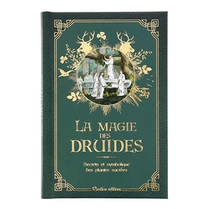 La magie des druides