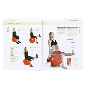 Un dos en forme - Anatomie et mouvements