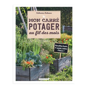 Mon carré potager au fil des mois