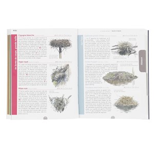 Le guide nature : Traces et indices