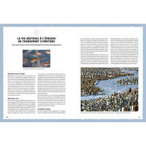 L'incroyable combat de Mike Horn