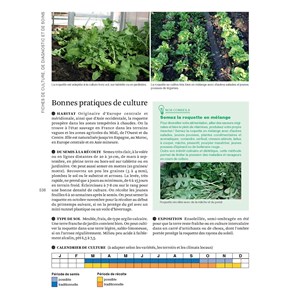 Grand Livre du potager sans pesticides