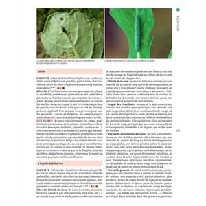 Grand Livre du potager sans pesticides