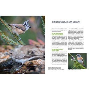 Accueillir les oiseaux au jardin