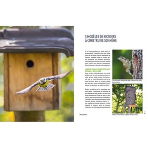 Accueillir les oiseaux au jardin