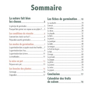 Faites pousser vos noyaux et pépins