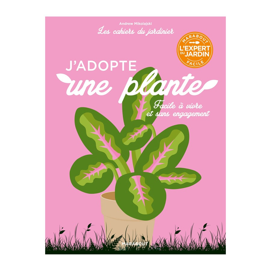 J Adopte Une Plante Nature Decouvertes