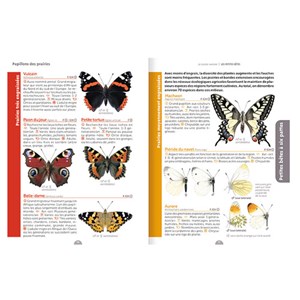 Guide nature : Les petites bêtes